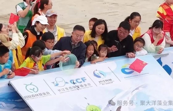从高山到大海，守护蔚蓝生机｜聚大洋助力2026全国放鱼日科学放流活动顺利举行！