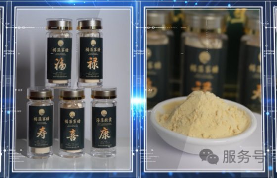 陆海联动谋新局 科创赋能启新程——聚大洋集团鲁豫标杆企业考察纪实